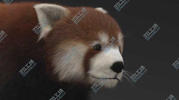 images/goods_img/20210312/Red Panda 3D/5.jpg